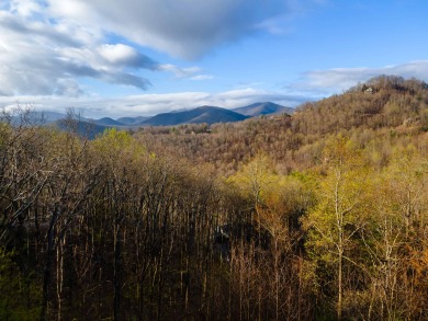 Lake House Making Memories for Nature s Connection Experience. Dog Friendly &amp HT , , on  in Georgia - Lakehouse Vacation Rental - Lake Home for rent on LakeHouseVacations.com