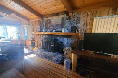 Lake House Walk to Snow Summit, Hot Tub, AC, Tesla Charger &amp Fire Pit, Evergreen Cabin, , on  in California - Lakehouse Vacation Rental - Lake Home for rent on LakeHouseVacations.com