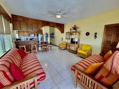 Lake House Quick Walk to Town! Beachfront, Amazing Sunrises. Gold Standard Registered., , on  in Belize District - Lakehouse Vacation Rental - Lake Home for rent on LakeHouseVacations.com