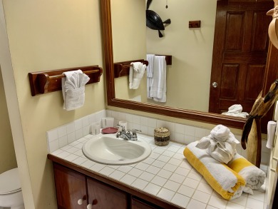 Lake House Island Oasis Stunning Views &amp Easy Access to Top Dining Spots, , on  in Belize District - Lakehouse Vacation Rental - Lake Home for rent on LakeHouseVacations.com