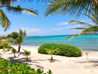 Lake House Seven Seas Unit 2 Beachfront Condo with Pool Access, , on  in Quintana Roo - Lakehouse Vacation Rental - Lake Home for rent on LakeHouseVacations.com