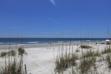 Lake House 2 East Beach Lagoon - Brand New Gold Coast Oceanfront Oasis, , on  in South Carolina - Lakehouse Vacation Rental - Lake Home for rent on LakeHouseVacations.com