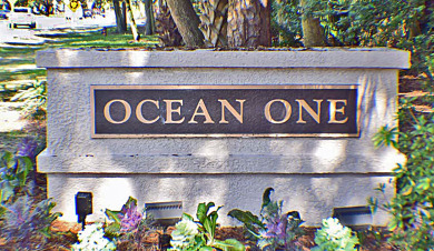 Lake House Ocean One 223 - 2BR 2BA Oceanfront Condo New Summer of 2026, , on  in South Carolina - Lakehouse Vacation Rental - Lake Home for rent on LakeHouseVacations.com