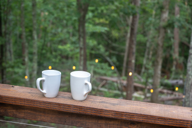 Lake House Luxury Covered Wagon Stay Firepit, Views, Stargazing, , on  in Tennessee - Lakehouse Vacation Rental - Lake Home for rent on LakeHouseVacations.com