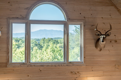 Lake House Quiet Luxury Cabin for 2 4 Hot Tub Forest Views, , on  in Tennessee - Lakehouse Vacation Rental - Lake Home for rent on LakeHouseVacations.com