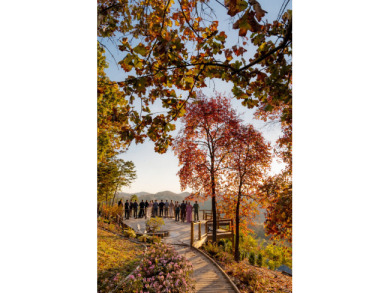 Lake House 4-Acre Mtn Estate 360 ' Views 65 ppl Weddings + Groups , , on  in Tennessee - Lakehouse Vacation Rental - Lake Home for rent on LakeHouseVacations.com