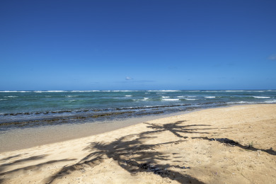 Lake House Beachfront with air conditioning, walk to everything, BEST location!, , on  in Hawaii - Lakehouse Vacation Rental - Lake Home for rent on LakeHouseVacations.com