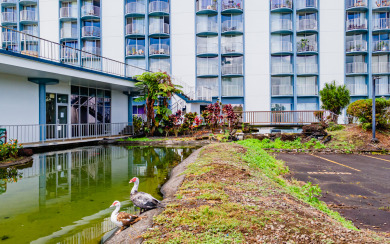 Lake House Renovated air conditioned 2 bed2bath condo in the Heart of Hilo!, , on  in Hawaii - Lakehouse Vacation Rental - Lake Home for rent on LakeHouseVacations.com