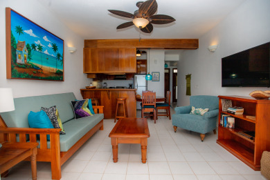 Lake House San Pedro's Hidden Treasure. Walk to Town. Beach, Pool, 18+, , on  in Belize District - Lakehouse Vacation Rental - Lake Home for rent on LakeHouseVacations.com