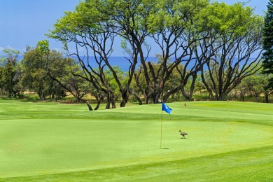 Lake House Waikoloa Fairways #A101 No Stairs Golf Course, Lake &ampOcean Views, , on  in Hawaii - Lakehouse Vacation Rental - Lake Home for rent on LakeHouseVacations.com