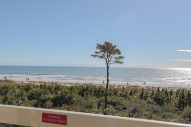 Lake House 309 Breakers Oceanfront End Unit Villa, 1BD1BA. Hosts 6., , on  in South Carolina - Lakehouse Vacation Rental - Lake Home for rent on LakeHouseVacations.com