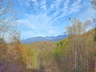 Lake House Skybox Lodge Views, Sports Bar, Theater, Games, , on  in Tennessee - Lakehouse Vacation Rental - Lake Home for rent on LakeHouseVacations.com