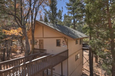 Lake House Serenity Treehouse Forest Views National Forest Trail &amp Sledding Access, , on  in California - Lakehouse Vacation Rental - Lake Home for rent on LakeHouseVacations.com