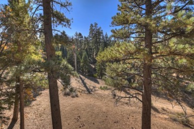 Lake House Serenity Treehouse Forest Views National Forest Trail &amp Sledding Access, , on  in California - Lakehouse Vacation Rental - Lake Home for rent on LakeHouseVacations.com