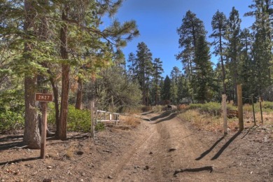 Lake House Serenity Treehouse Forest Views National Forest Trail &amp Sledding Access, , on  in California - Lakehouse Vacation Rental - Lake Home for rent on LakeHouseVacations.com