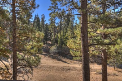 Lake House Serenity Treehouse Forest Views National Forest Trail &amp Sledding Access, , on  in California - Lakehouse Vacation Rental - Lake Home for rent on LakeHouseVacations.com