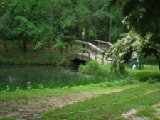 Lakehouse Vacation Rental - Lake Homes for rent on LakeHouseVacations.com, Lake property, Lake House Lake House Bridget's Triple B Cottages 2-one Bed Units -1 Two Bedroom, Resident Blue Heron, on Cedar Creek Lake in Texas - Lakehouse Vacation Rental - Lake Home for rent on LakeHouseVacations.com