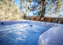 Private HOT TUB! Close to SLOPES, LAKE & Village! CUTE! on Big Bear Lake in California for rent on LakeHouseVacations.com