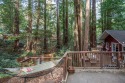 Little Red House Plus-Peaceful & Calm! Fab Redwood Cabin! HtTbWIFIPupGolf on Russian River in California for rent on LakeHouseVacations.com