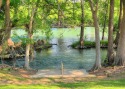 2 Pools, 4 Hot tubs on the Guadalupe River! Walk to Schlitterbahn! Condo for rent 730 E Mather Street New Braunfels, Texas 78130