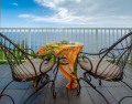 Alii Kai 3103 -watch for whales from oceanfront lanai! View from every window, on Kauai - Princeville, Lake Home rental in Hawaii