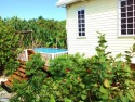 Hidden Gem Cabana Pool AC Dock Access Paddleboards-Sleeps 5, on , Lake Home rental in Belize District