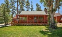 ADORABLE country cabin! WALK TO LAKE Close to Village & Slopes FREE 3rd NIGHT on Big Bear Lake in California for rent on LakeHouseVacations.com