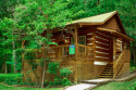 Romantic, Pet-Friendly Gatlinburg Cabin 1 mile to Great Smoky Mountain Park, on West Prong Little Pigeon River - Gatlinburg, Lake Home rental in Tennessee