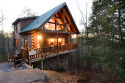 Beautiful log cabin less than 5 miles to Gatlinburg, Pigeon Forge, The Park, on Douglas Lake, Lake Home rental in Tennessee