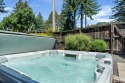 Guerneville EscapeContemporary & Mystical VibeTop of Redwoods HtTbWIFIPup, on , Lake Home rental in California