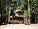 Gorgeous cabin- fireplace, near downtown & lake, deck, AC & firepit, on Twain Harte Lake, Lake Home rental in California