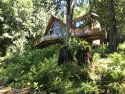 Mt. Baker Lodging Cabin #7 - Lakefront, Pets Ok, Hot Tub, Bbq, Sleeps-8!  for rent  Maple Falls, Washington 98266
