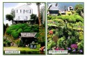 JEANNE BLAIS-CHEYUNSKI on LakeHouse.com